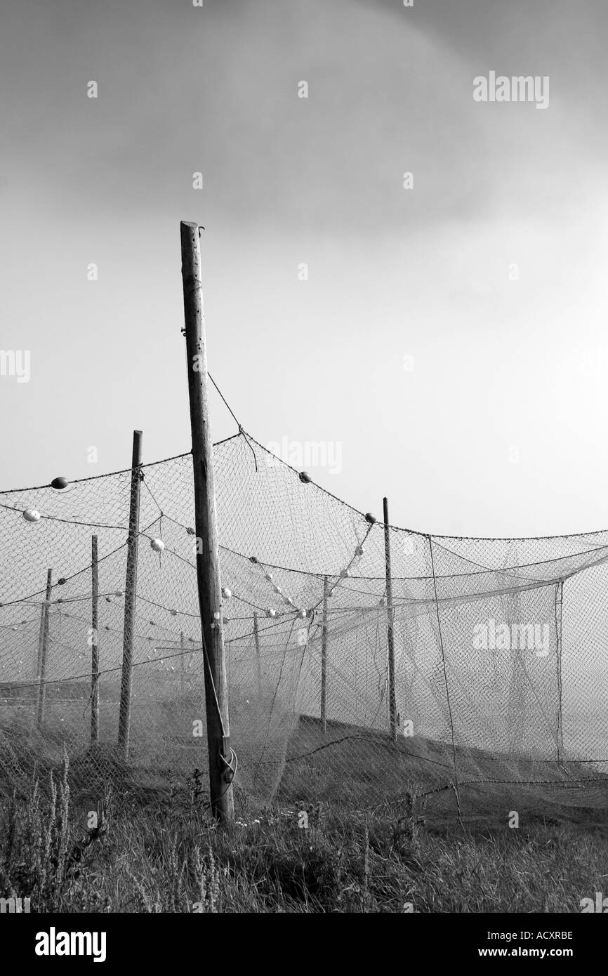 Schottische Meeresfischerei. Küstenlandschaft und Trocknung Lachsfischnetze hängen an Stangen in Cruden Bay, Aberdeenshire, Nordostschottland, Großbritannien. Stockfoto