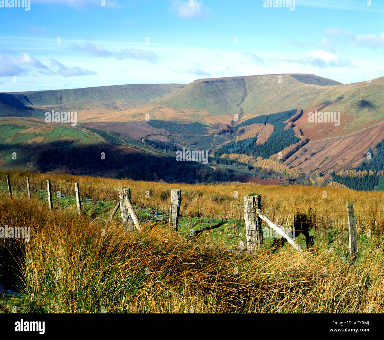 Waun von Rydd Bryniau Gleision, Brecon Beacons National Park, Powys, Wales. Stockfoto