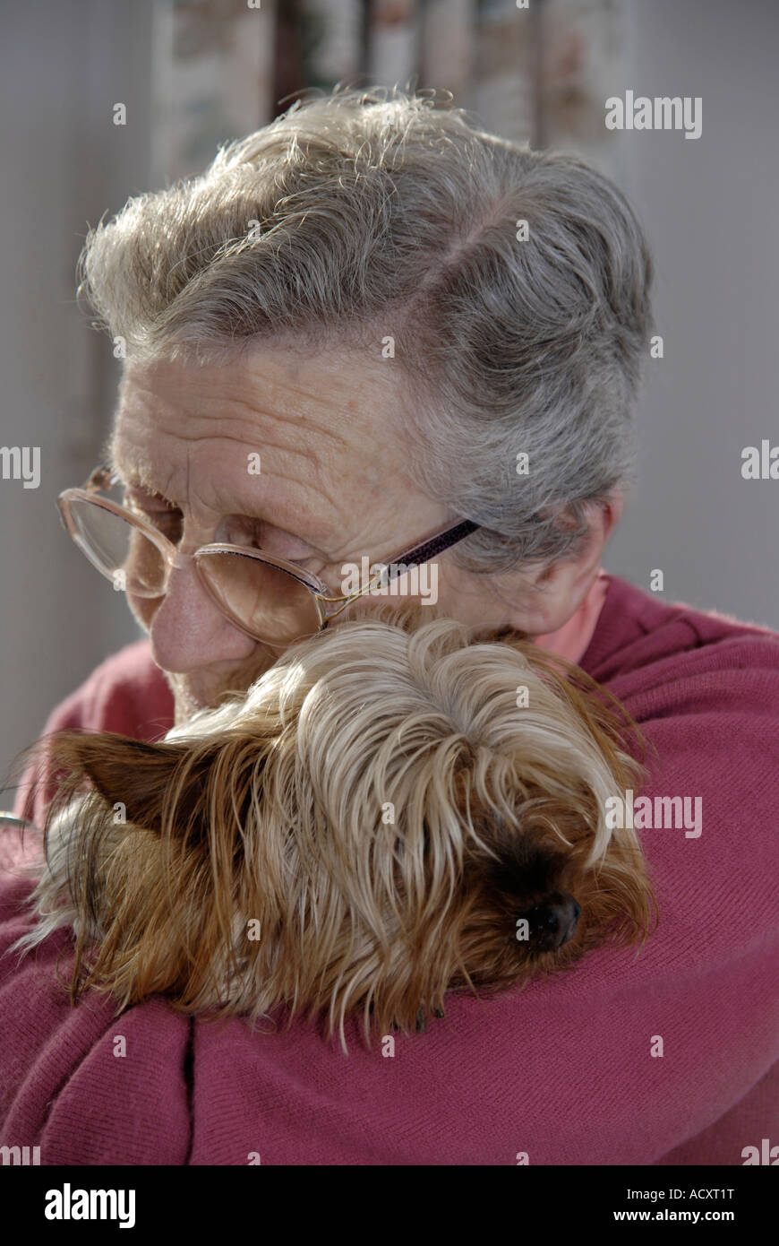 ältere Frau mit ihrem Haustier Yorkshire Terrier Hund Stockfoto