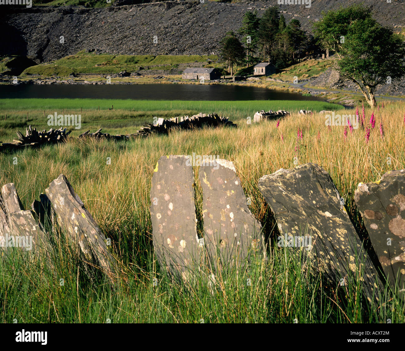 Schiefer Zaun und verfallenen Gebäude am verlassenen Steinbruch am Cwmorthin in der Nähe von Blaenau Ffestiniog Stockfoto