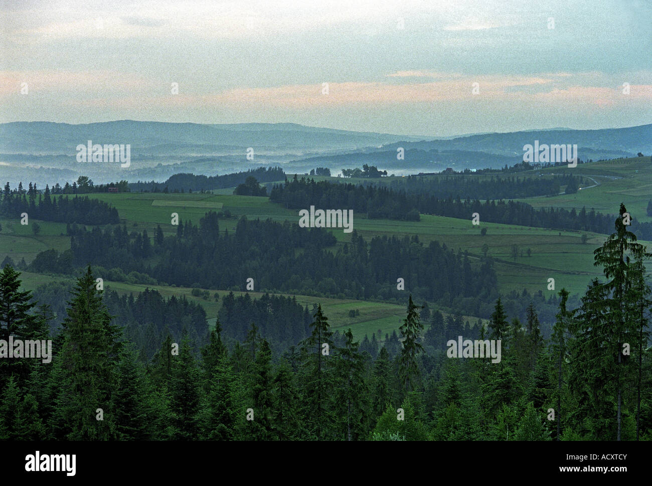 Landschaft der landwirtschaftlichen Flächen in der hohen Tatra, Polen Stockfoto