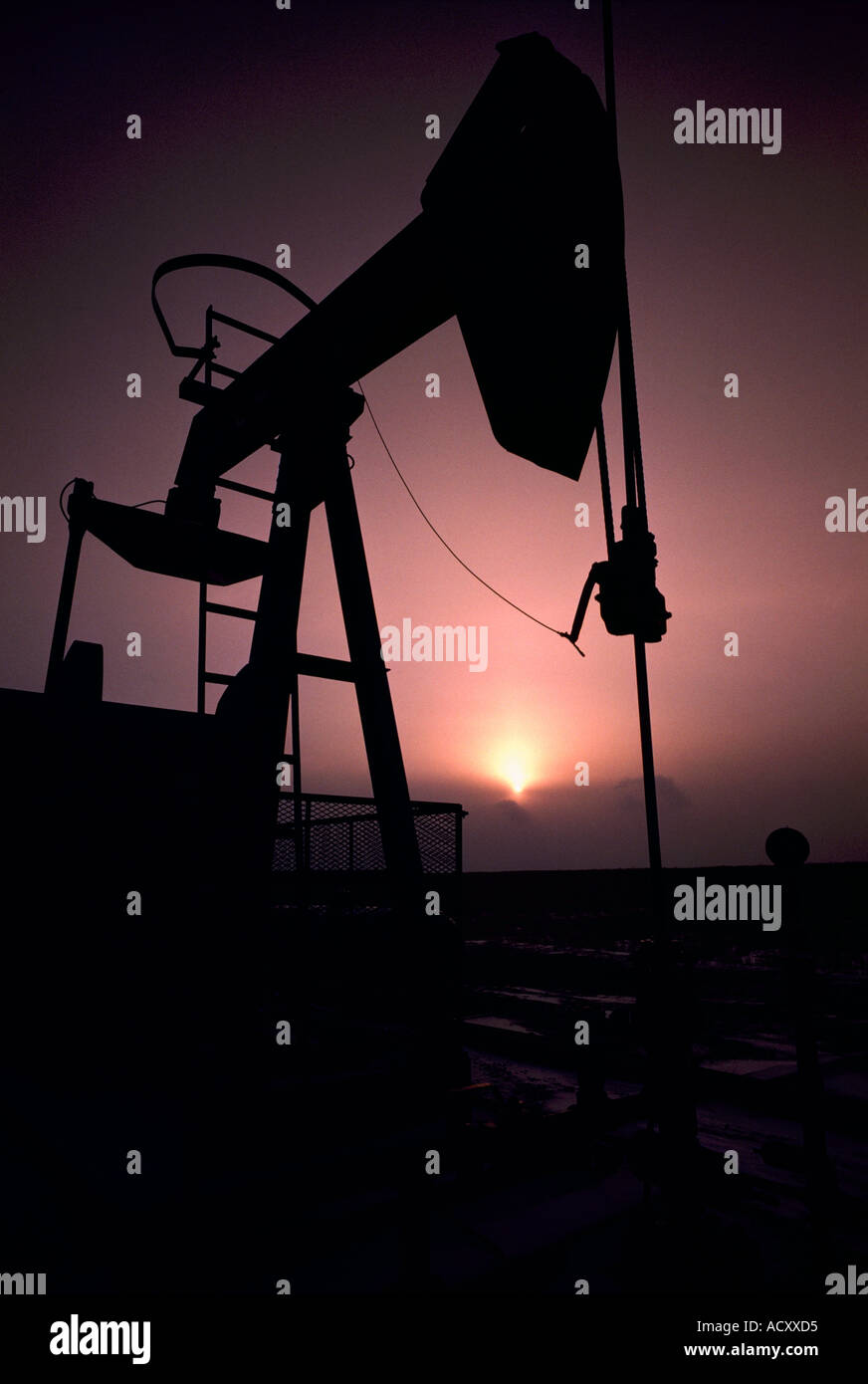 Pump Jack (Öl Esel) Pumpen an Ölquelle im Ölfeld nördlich von Dawson Creek, Norden von British Columbia, BC, Kanada - Sunrise Stockfoto