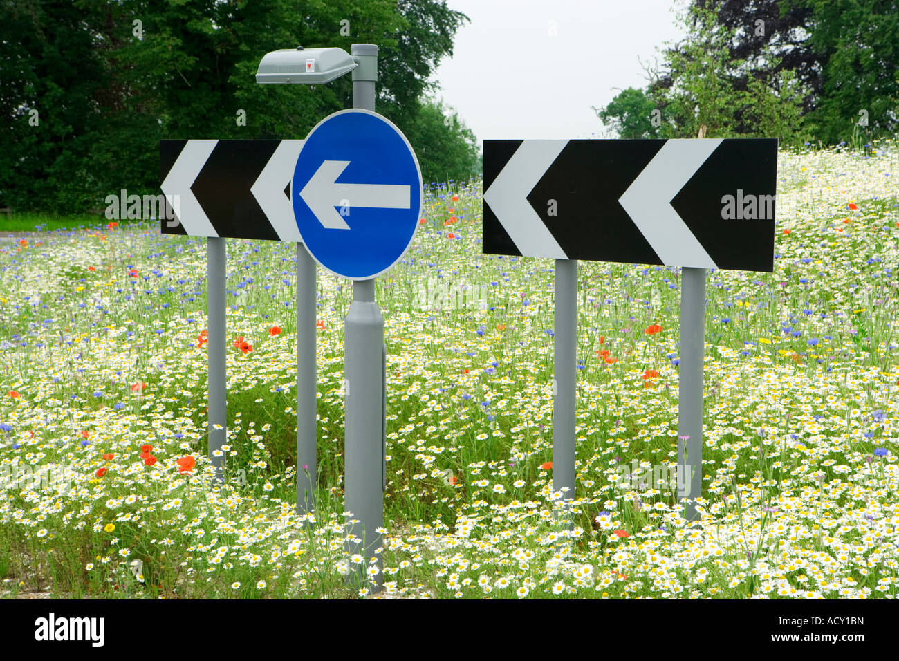 Verkehrsschilder am Kreisverkehr mit jährlichen Blumen. UK Stockfoto