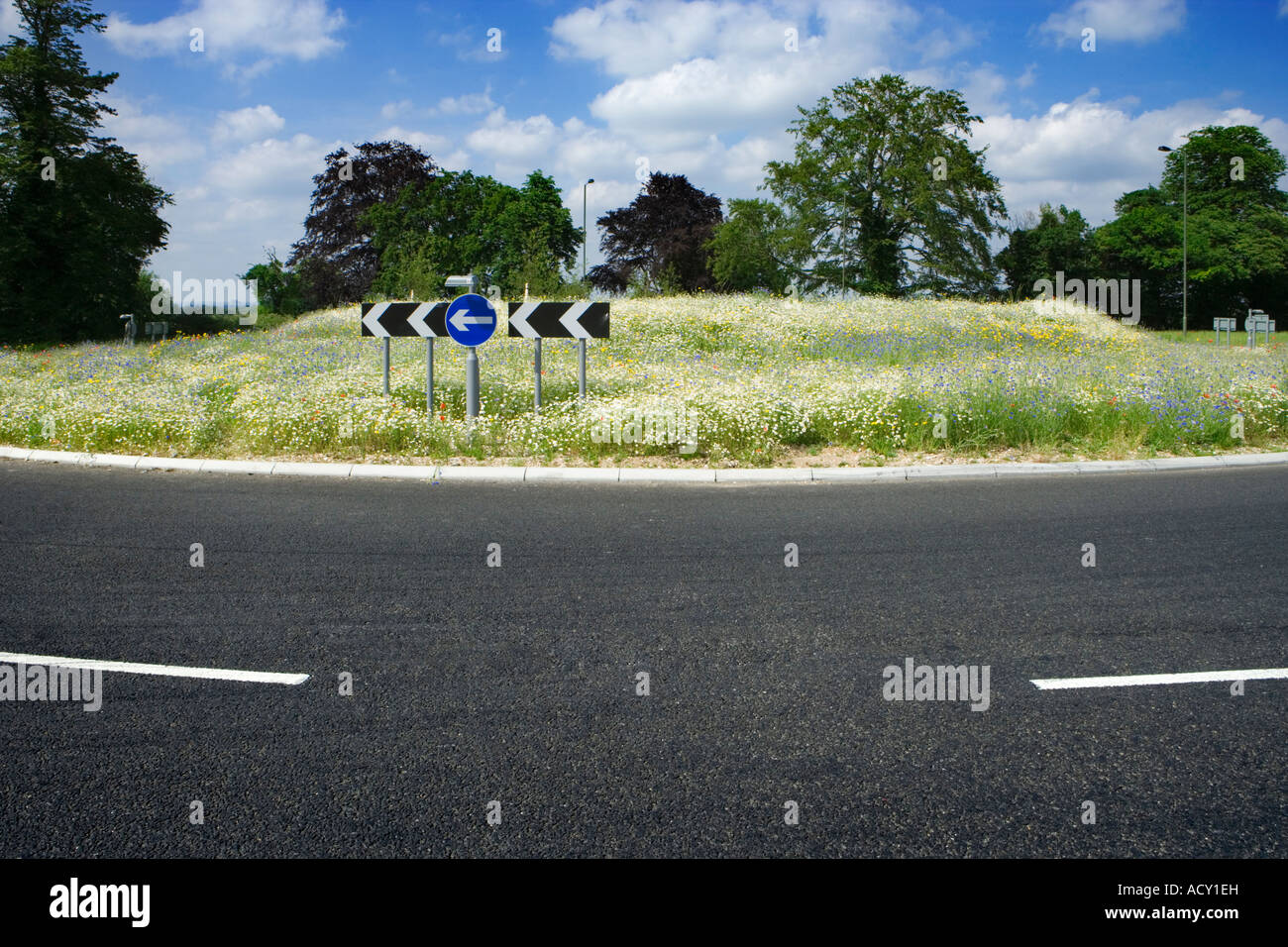 Road and roundabout with annual flowers. Stockfoto