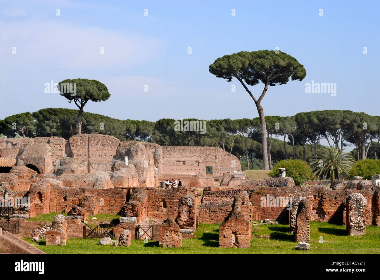 Bäume auf den Ruinen der Palatino, Palatin, Rom die Pinie (Pinus Pinea, Familie Tannenbäumen) ist eine Art von Kiefer stammt aus Südeuropa Stockfoto