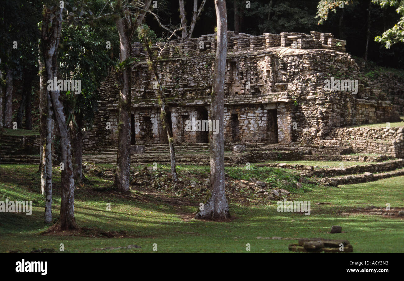 El Laberinto das Labyrinth von Yaxchilan Mexiko Mittelamerika Stockfoto
