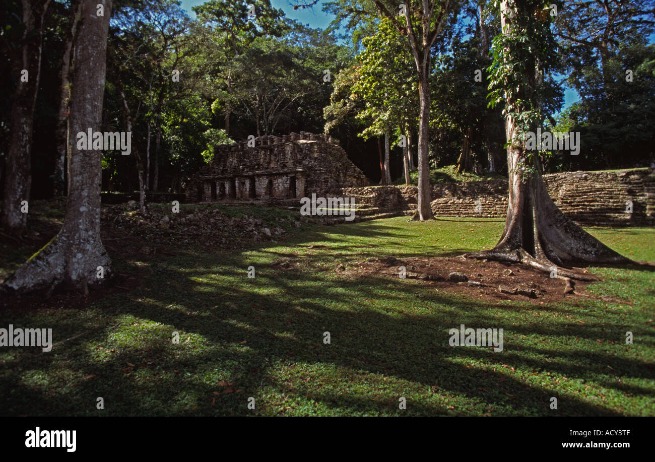 El Laberinto das Labyrinth von Yaxchilan Mexiko Mittelamerika Stockfoto