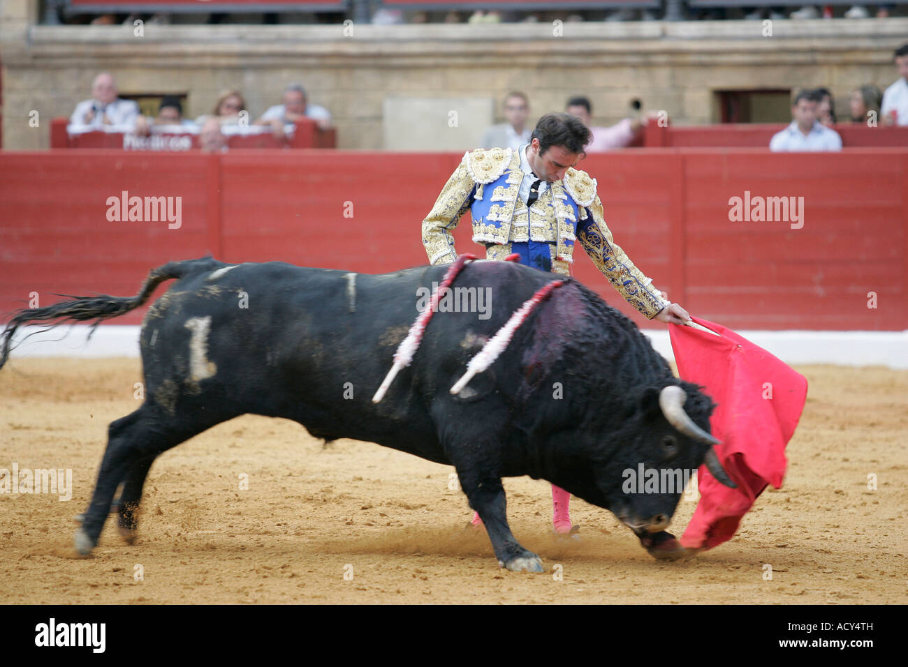 Enrique Ponce, eine spanische Matador beim Stierkampf, Spanien Stockfoto