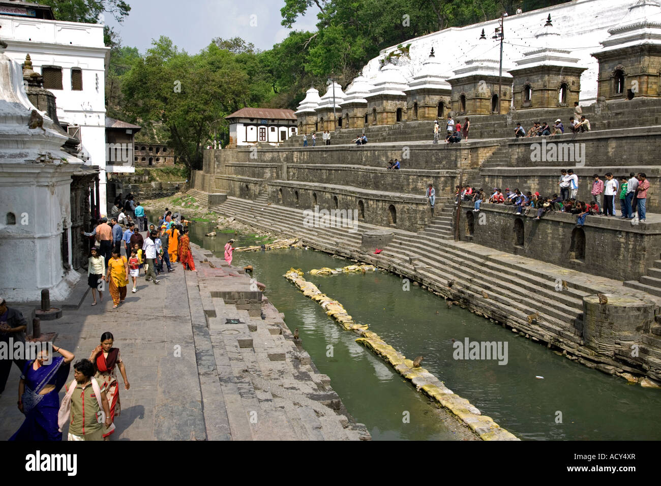 Pashupatinath Hindu Temple.Kathmandu Valley.Nepal Stockfoto