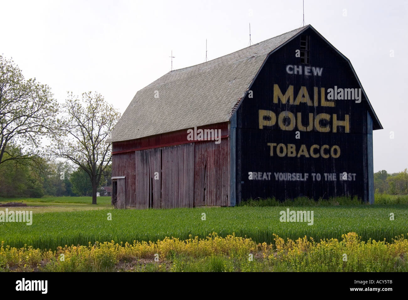 Mail Pouch Tabak Scheune an der Ohio Route 15 Bryon, Ohio. Stockfoto