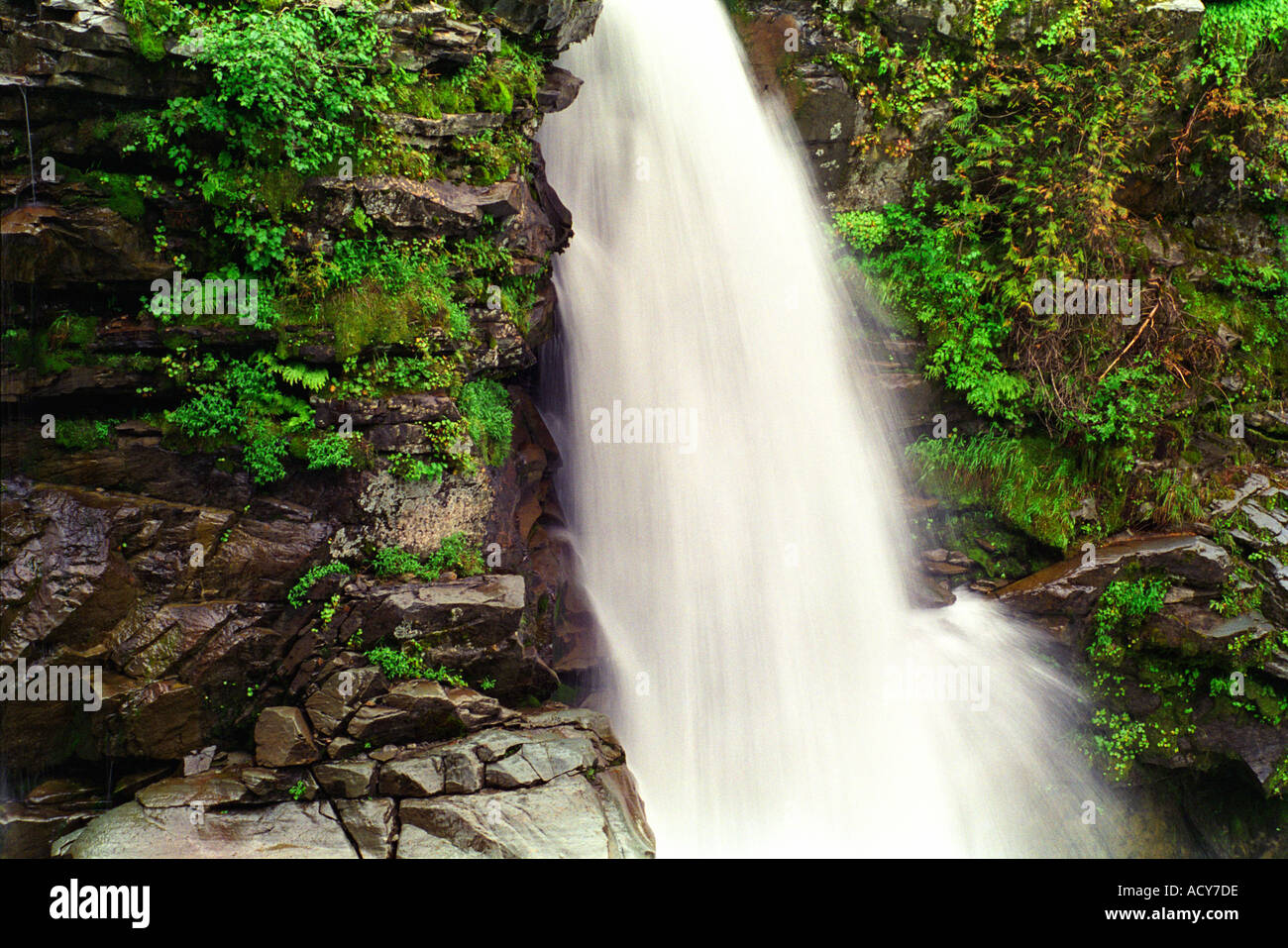 Nooksack Falls Washington State Stockfoto