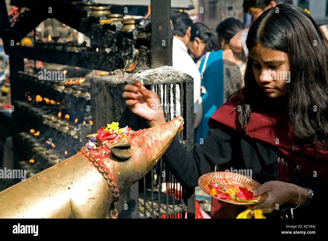 Junge Frau, die eine Darbringung an den Rat.It ist das Fahrzeug von Ganesh. Ashok Binayak Tempel. Durbar Square. Kathmandu. Nepal Stockfoto