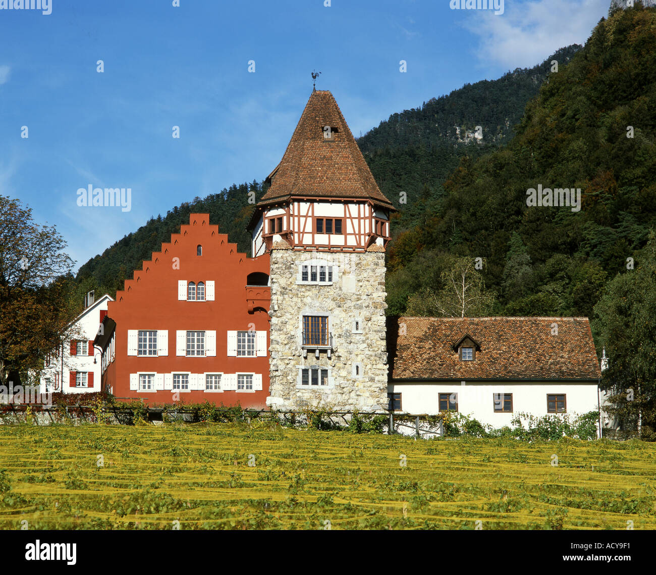 Europa-Liechtenstein-Vaduz-rotes Haus Weinbergen Stockfoto