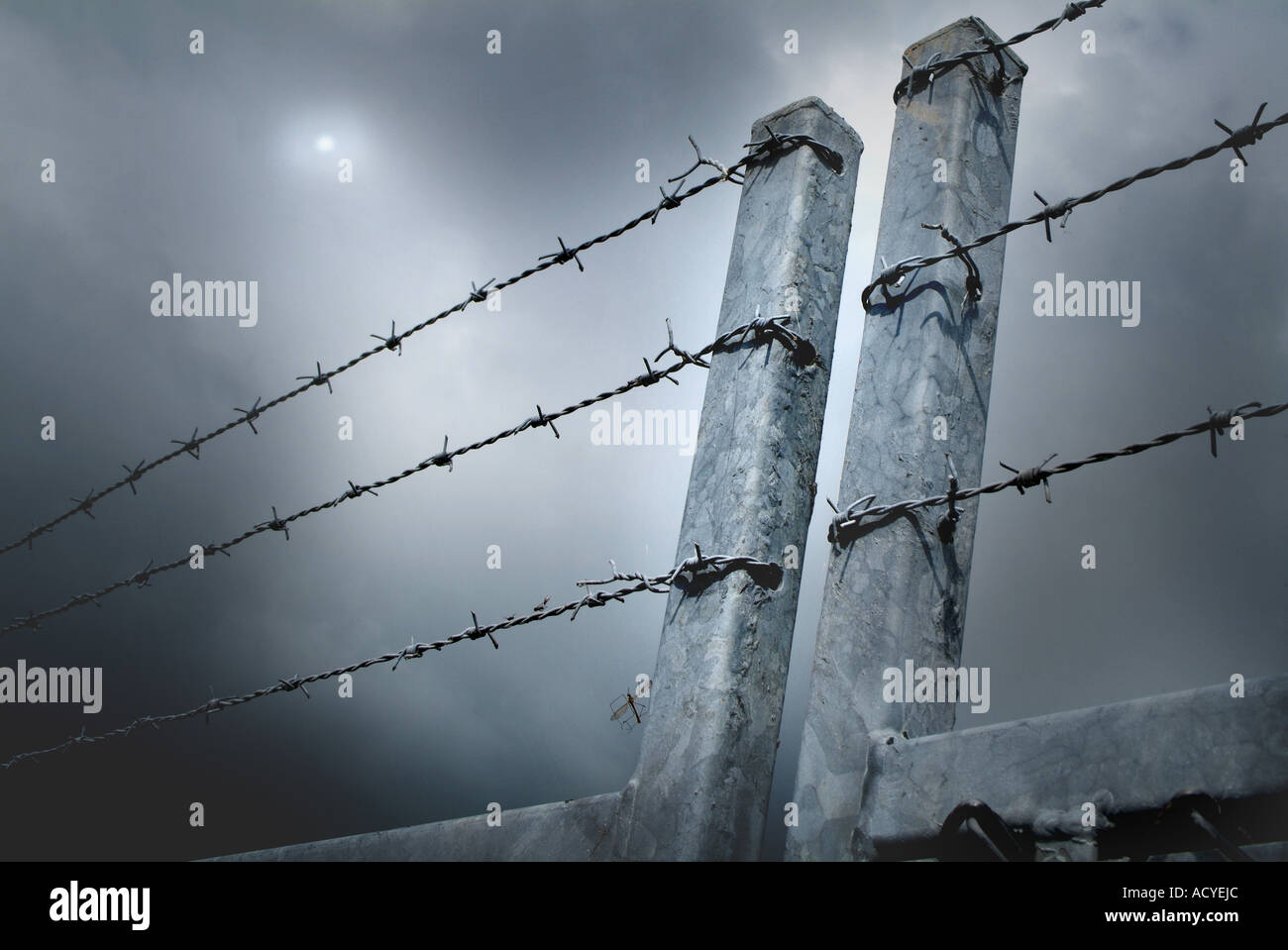 Stacheldraht zaun Stockfoto