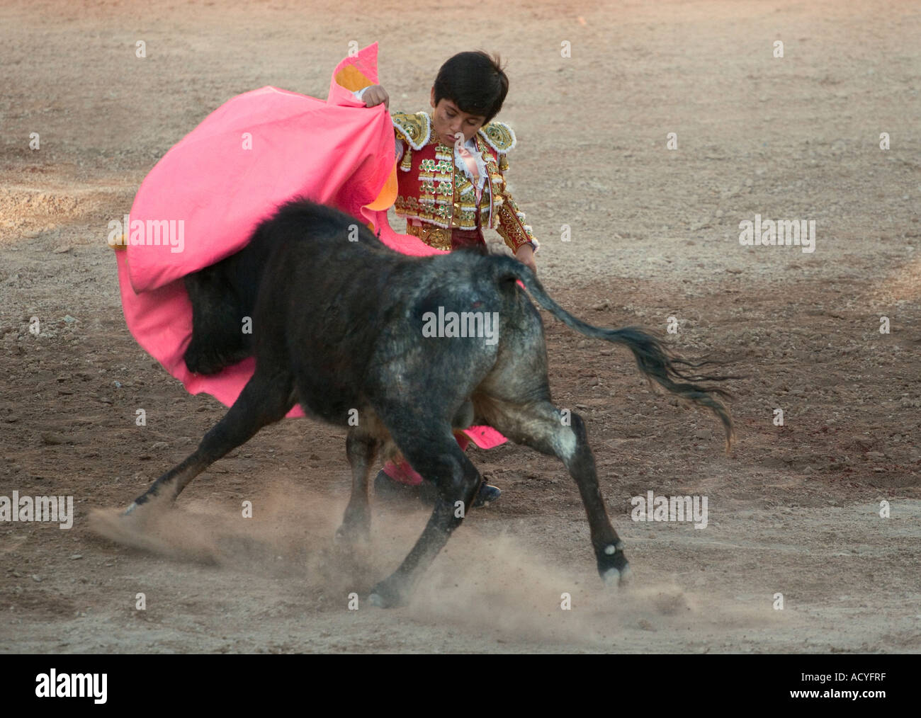 Der 9 jährige Kind Matador RAFITA MIRABAL kämpft einen Stier im Plaza de Toros SAN MIGUEL DE ALLENDE Mexiko Stockfoto