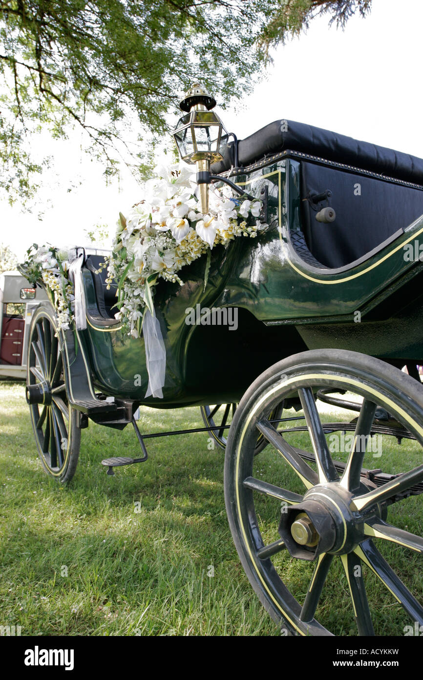 Vintage makellos Pferden gezogene Kutsche Hochzeit dekoriert mit weißen Blüten stehen auf dem Rasen. Stockfoto