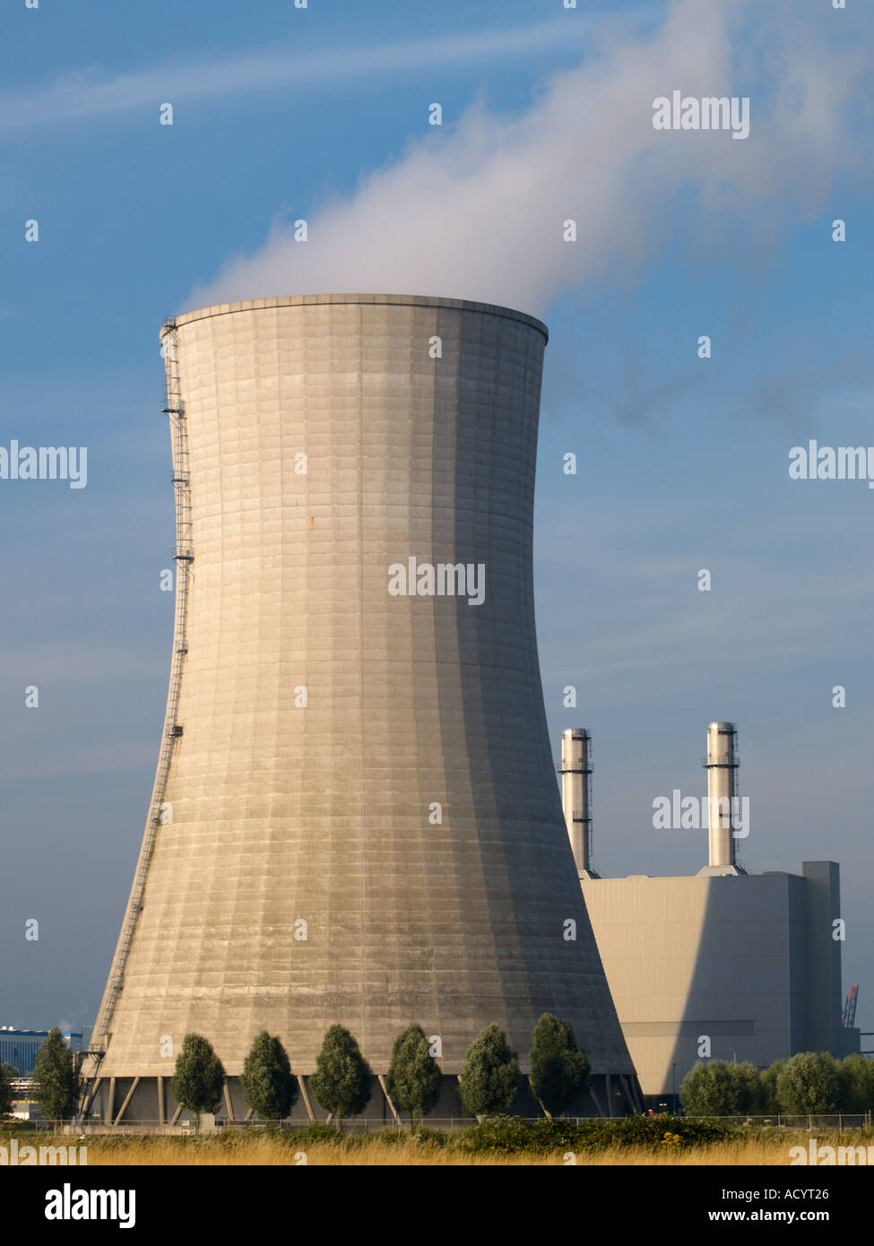 Die riesige Kondensation Kühlturm des Kraftwerks in Moerdijk Noord Brabant der niederländischen Essent-Strom Stockfoto