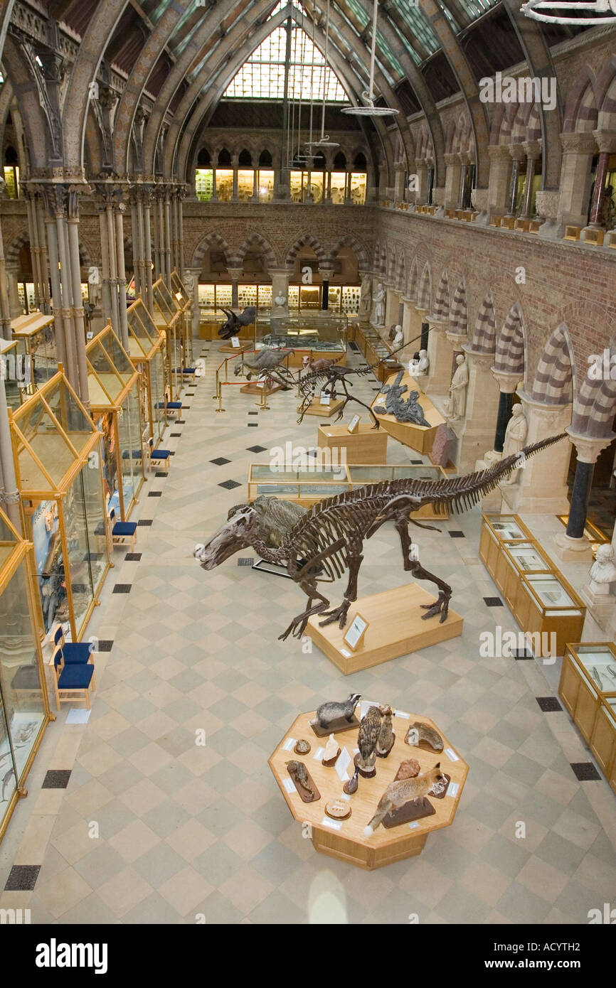 Oxford University Museum of Natural History Haupthalle Gesamtansicht vom Balkon Stockfoto