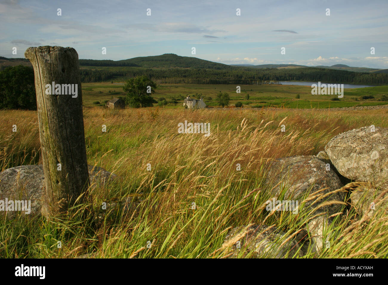 Ein remote Galloway-Hof umgeben von Natur und Landschaft bei Sonnenuntergang Stockfoto