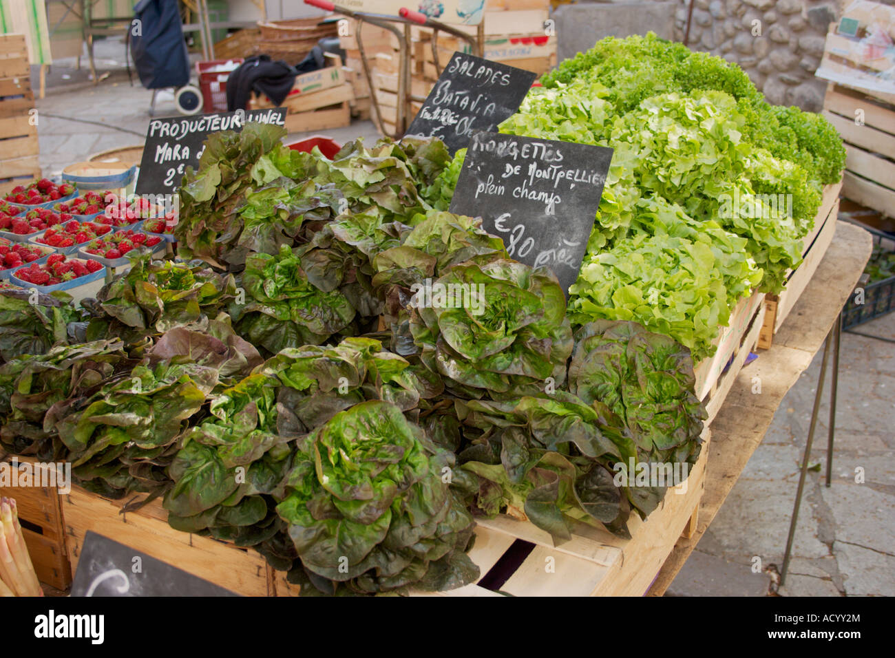 Verschiedene Salatsorten für den Verkauf auf einem typischen französischen Markt im Languedoc-Roussillon, Südfrankreich. Stockfoto
