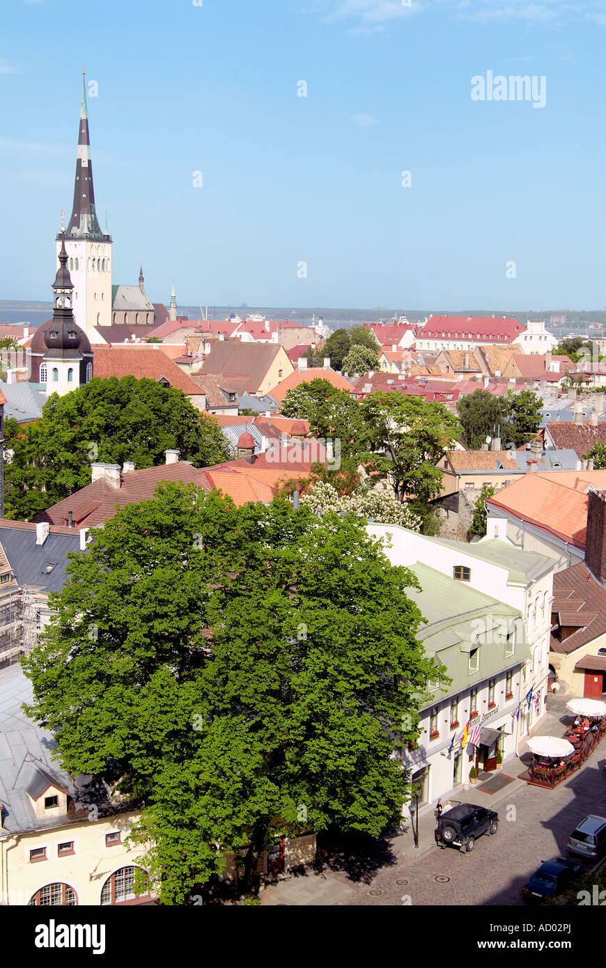 Historische Altstadt von Tallinn, Estland Stockfoto