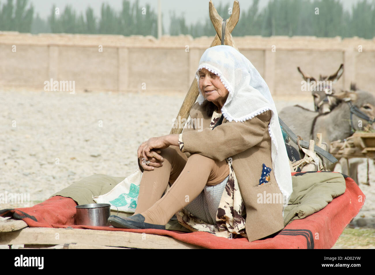 Eine uigurische Frau wartet geduldig auf ihren Eselskarren auf dem Vieh/Tier-Markt in Kashgar, Xinjiang Stockfoto