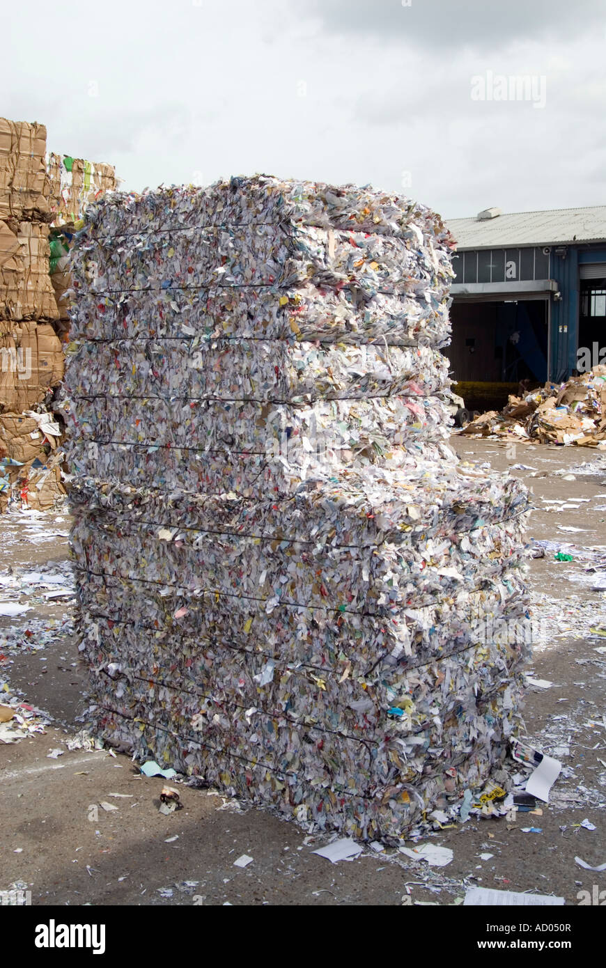 Ballen von Papierschnitzel für das recycling von England UK Stockfoto