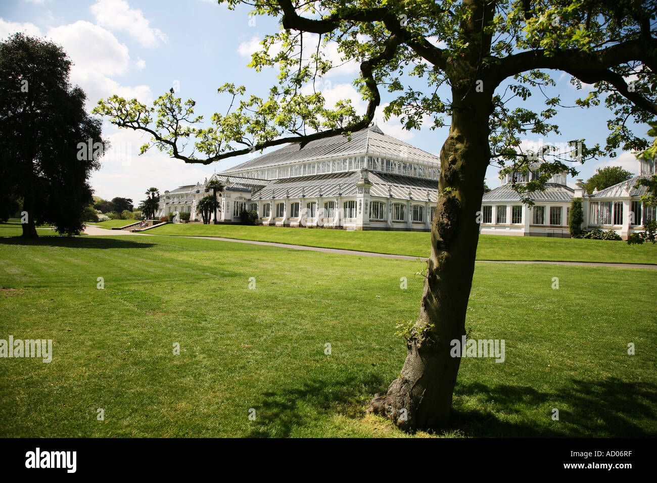 Die gemäßigten House in Kew Gardens London Stockfoto