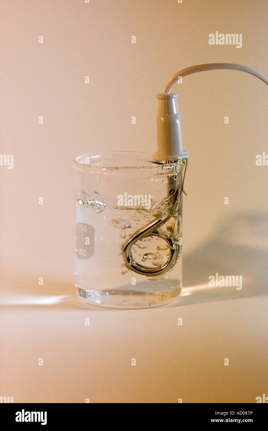 Glas Wasser kochen, mit Heizstab Stockfoto