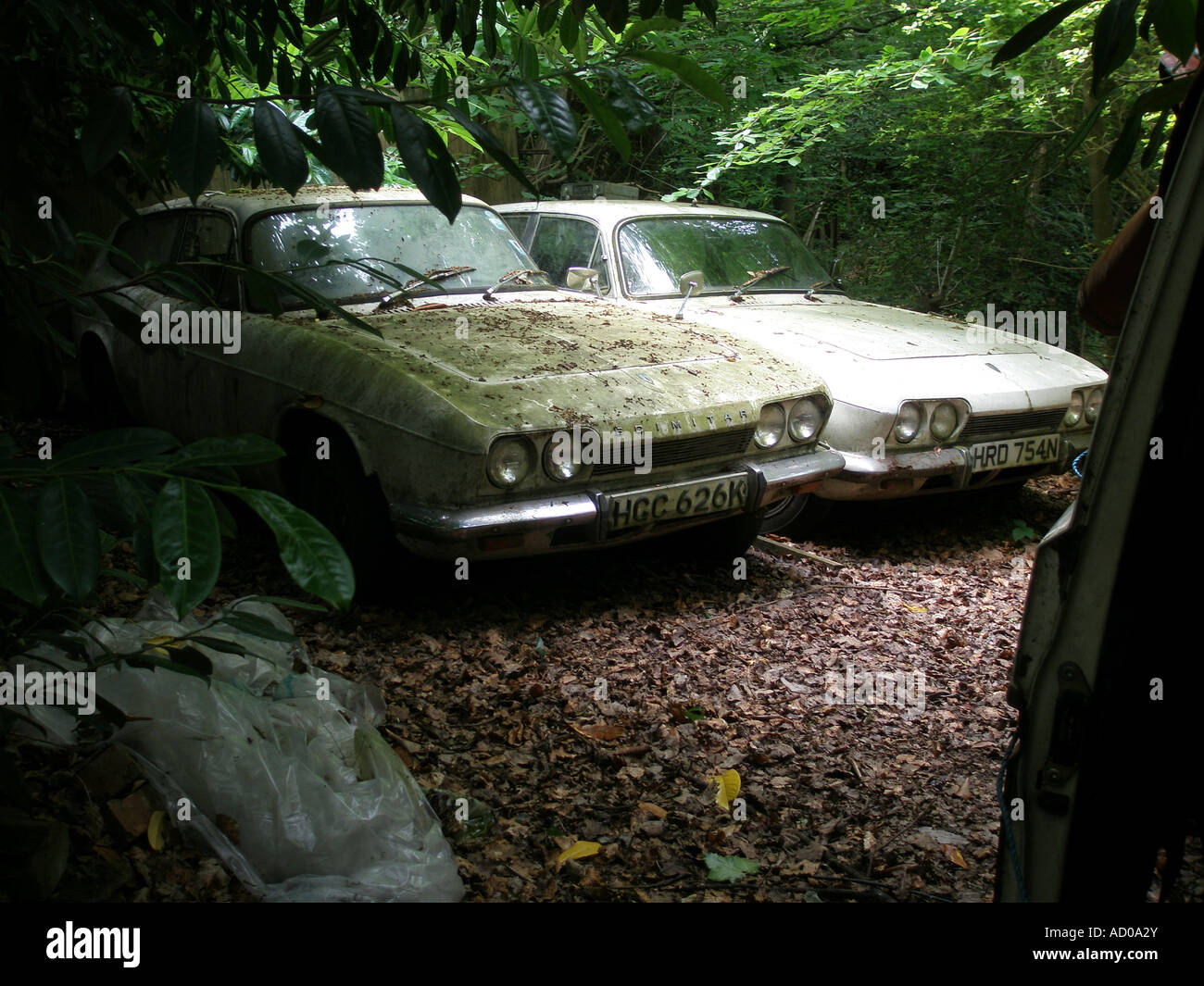 Verlassenes Auto - Reliant Krummsäbel Fäulnis in den Boden im Wald Stockfoto