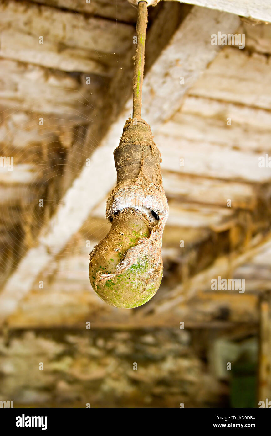 Alten stillgelegten Gewicht der Lampe Leuchte Stockfoto