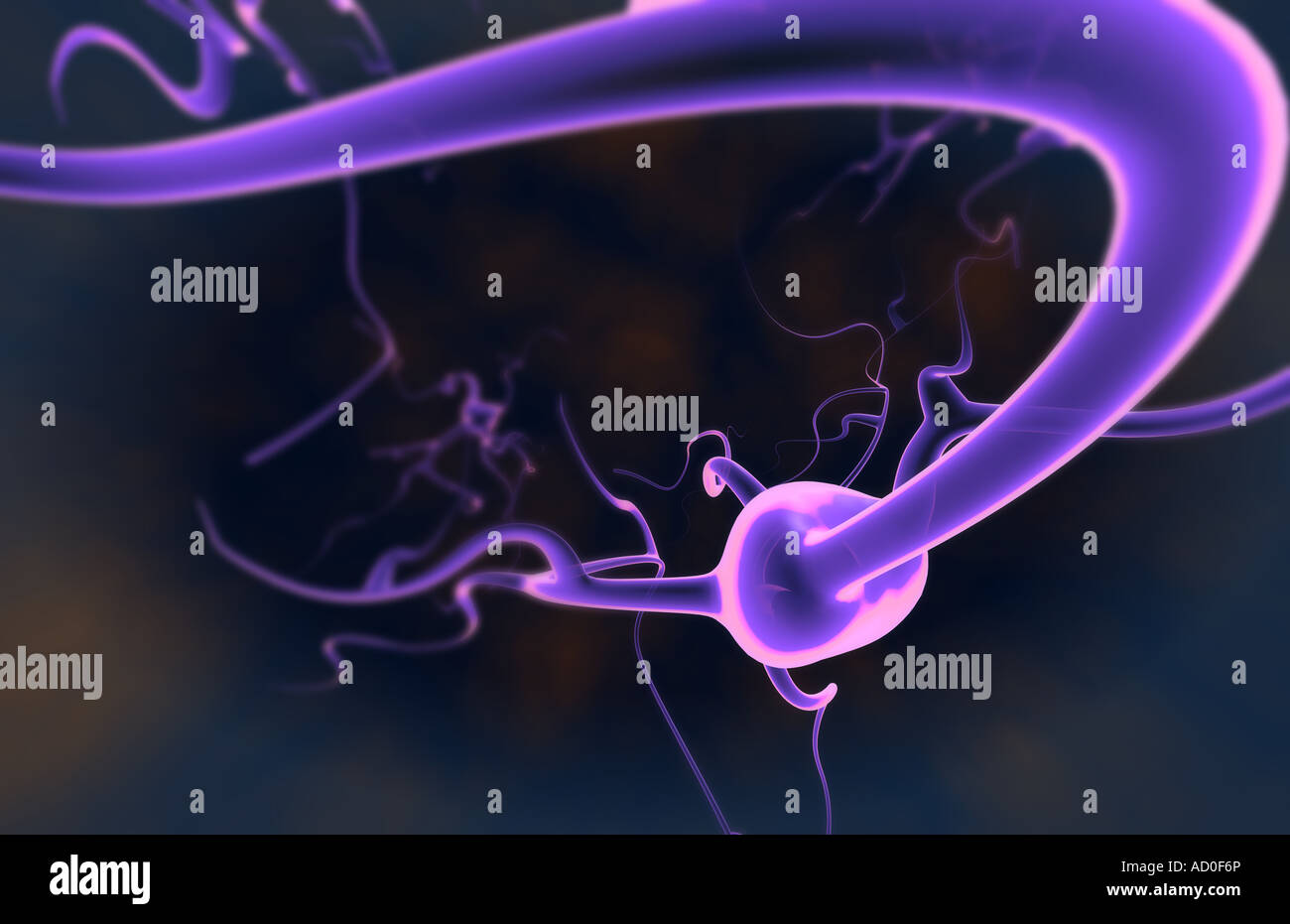 Neuronen Stockfoto