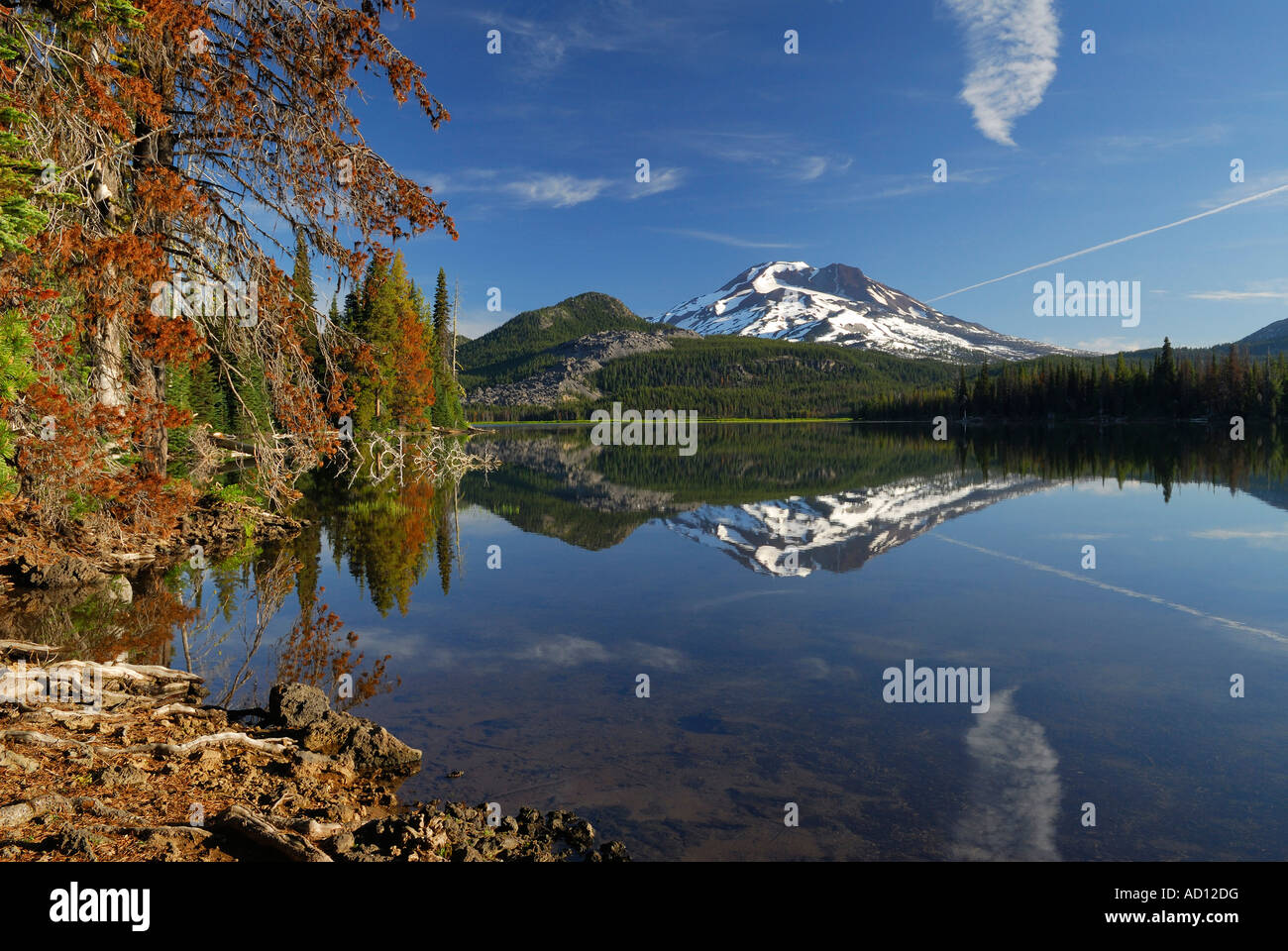 Am frühen Morgen ruhig Sparks Lake mit South Sister und bewaldeten Küste Deschutes National Forest Bend, Oregon USA Stockfoto