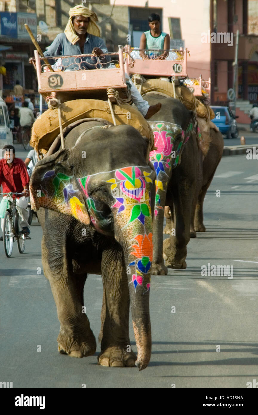 Vertikale Ansicht von zwei wunderschön bemalte indische Elefanten, die entlang der Straße in Jaipur. Stockfoto