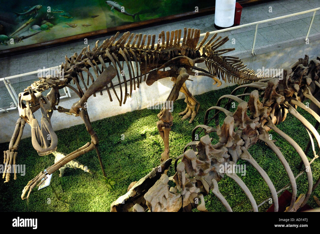 Dinosaurier-Museum in Beijing China 2007 Stockfoto
