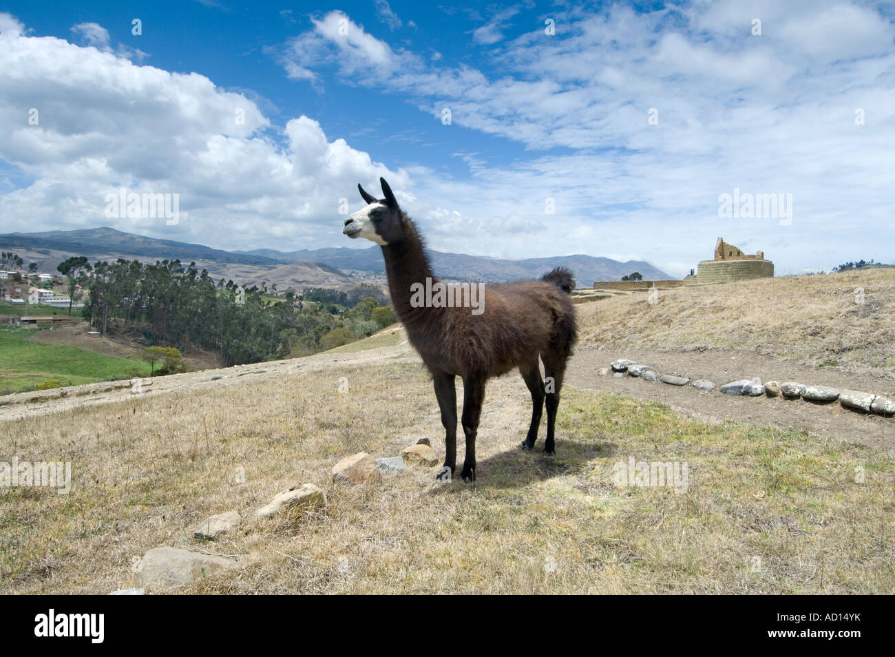 Inka Sonnentempel, Ingapirca, Ecuador Stockfoto