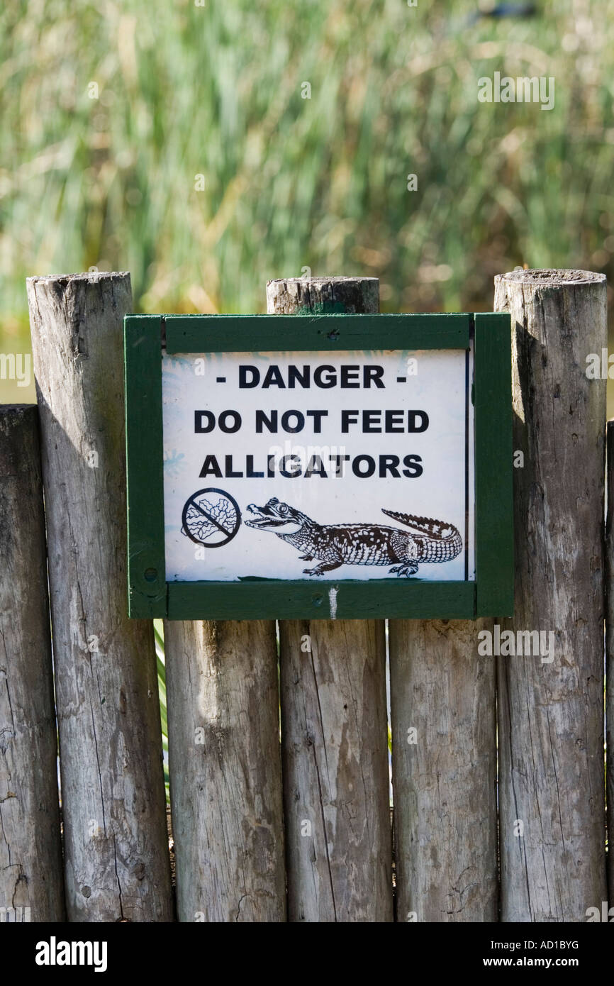Nicht füttern Sie Alligatoren Zeichen, Big Cypress Seminole Reservation, Florida, USA Stockfoto
