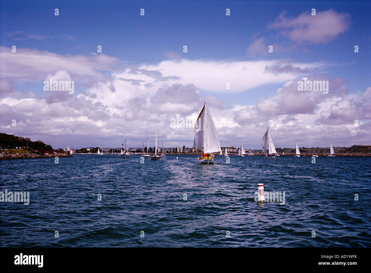 Segeln in Marina Del Rey CA Kalifornien der größte Mann machte kleine Boote Hafen der Welt Stockfoto