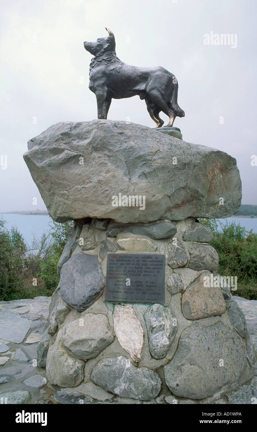 Statue von Sheep Dog Lake Tekapo Canterbury Südinsel Neuseeland Stockfoto