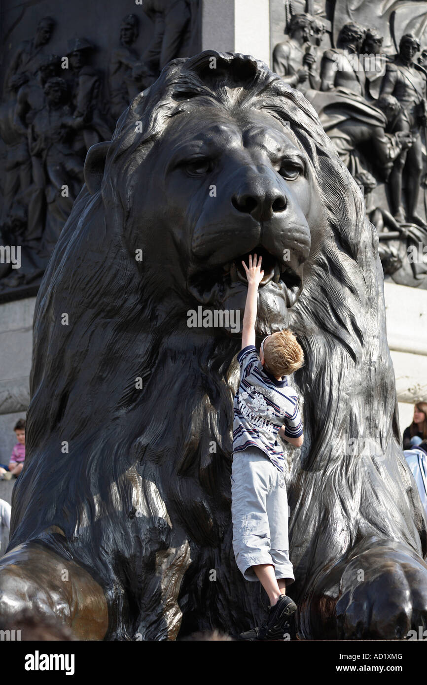 Junge, legte seine Hand in Löwenstatue. Trafalgar Square, London, England, UK Stockfoto