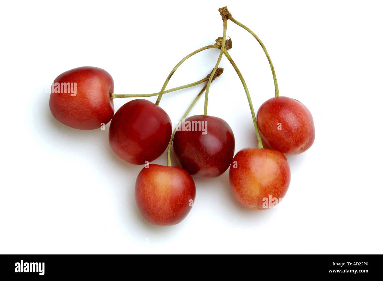 HMA71728 sechs rote Farbe Kirsche Essen Obst auf weißem Hintergrund Stockfoto