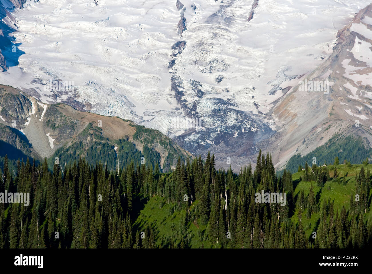 Wald-Nahaufnahme mit Mount Rainier Rising hinter Berg Washington State USA Stockfoto