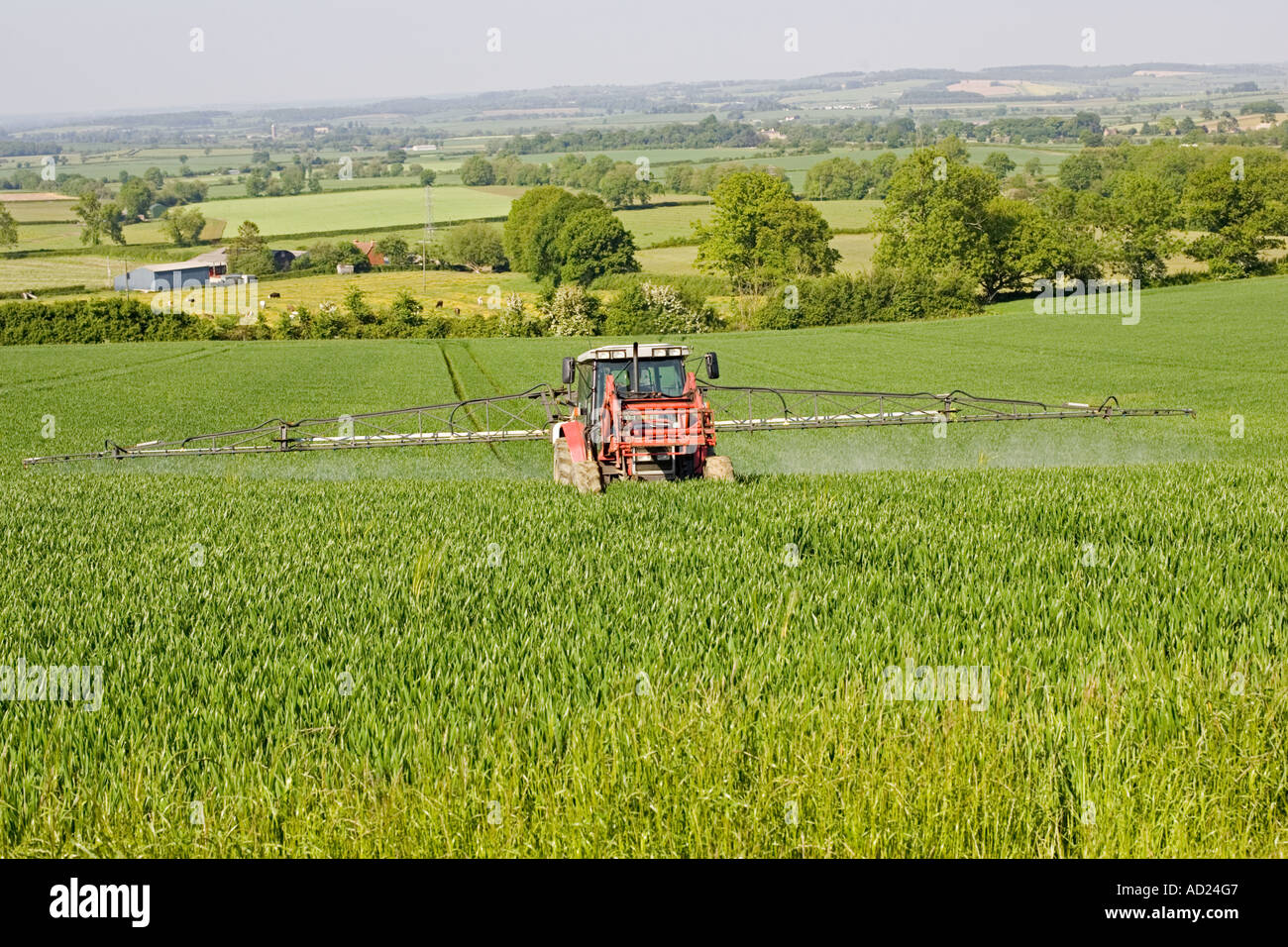 Bauer auf roten Traktor sprühen Getreideart in Cotswolds Mickleton UK Stockfoto