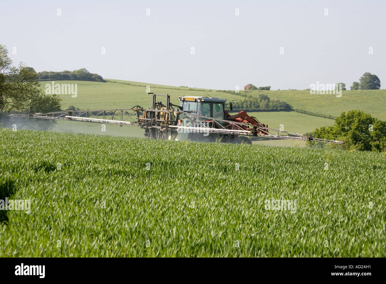 Bauer auf roten Traktor sprühen Getreideart in Cotswolds Mickleton UK Stockfoto
