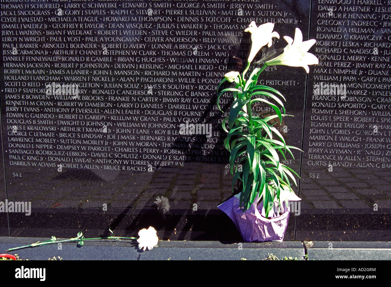 Namen auf Vietnam Veterans Memorial Wall, Verfassung Gärten, National Mall, Washington, DC, USA Stockfoto