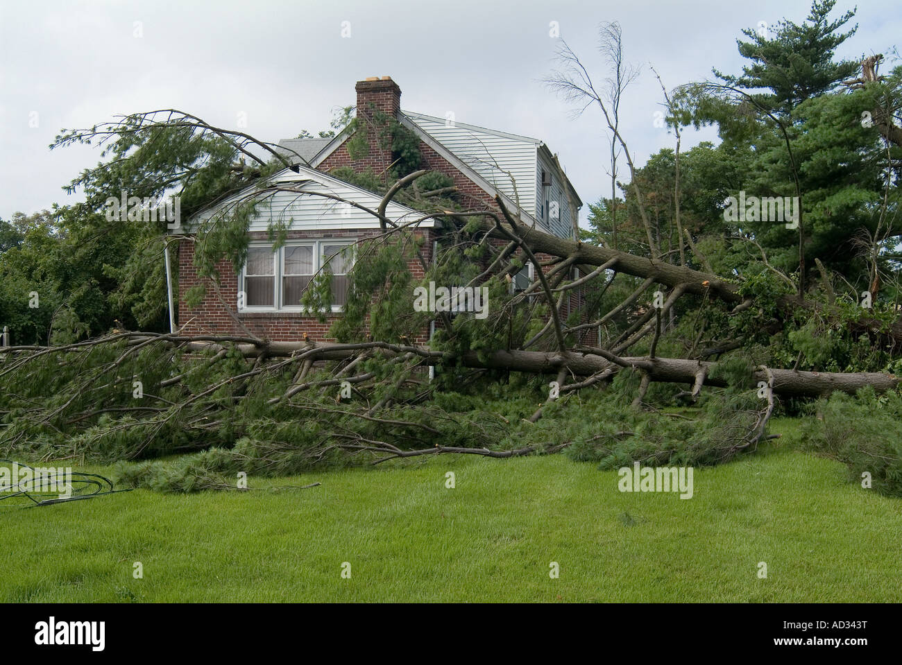 Wind Sturm Schäden Zerstörung mit Baum auf Haus, Philadelphia, Pennsylvania USA gefallen Stockfoto