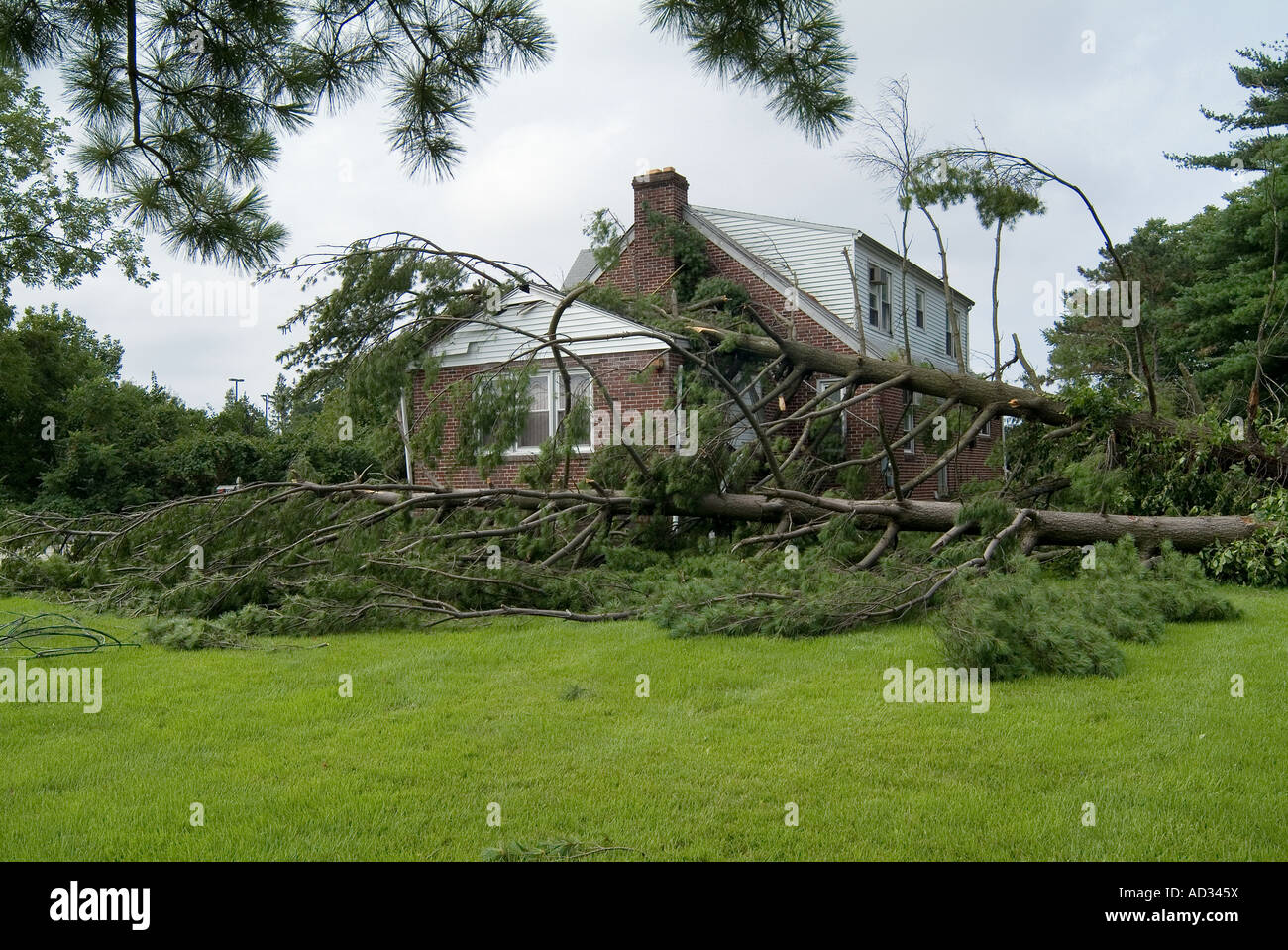 Wind Sturm Schäden Zerstörung mit Baum auf Haus, Philadelphia, Pennsylvania USA gefallen Stockfoto