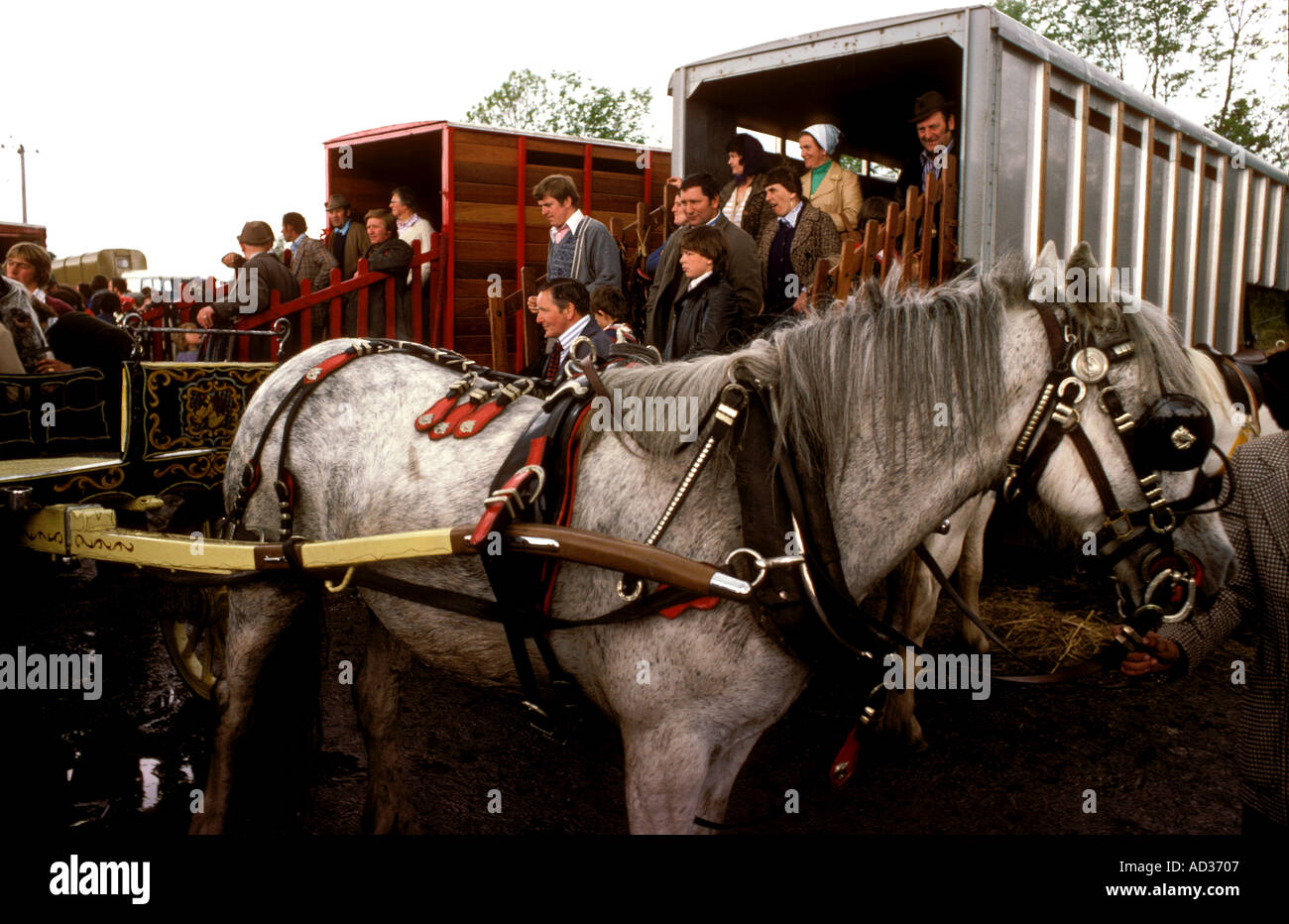 Einmal im Jahr versammeln Zigeuner und Reisende bei Appleby Nord England zu verkaufen Handel Pferde zu kaufen. Stockfoto