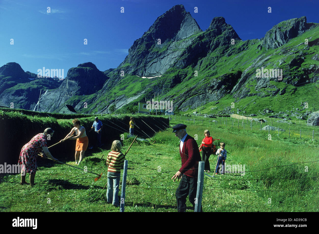 Familie in Lofoten-Inseln während der Sommer Saison Ernte Stockfoto