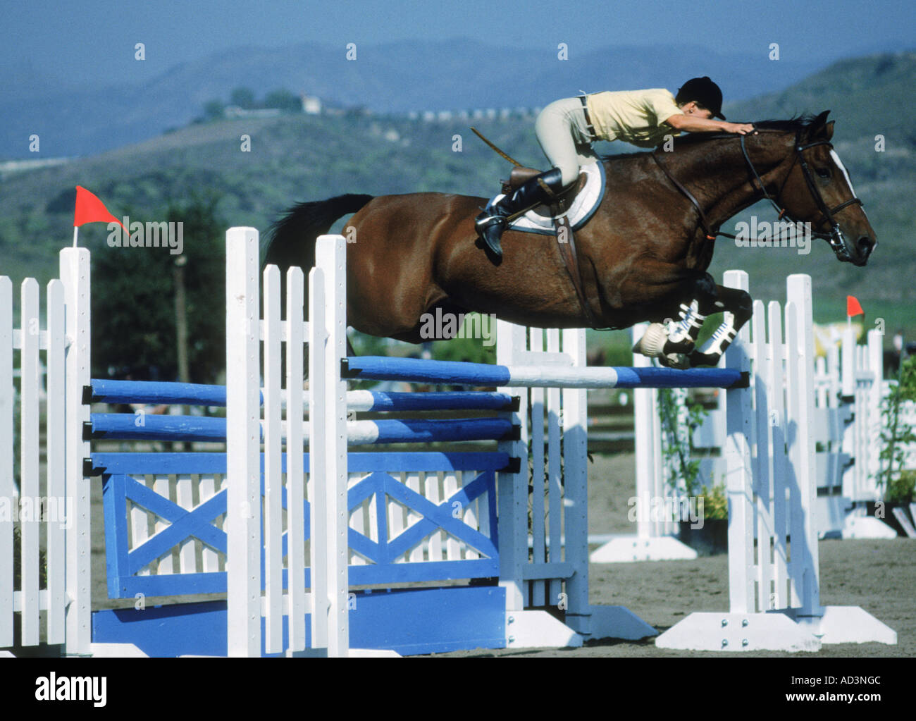 Pferd springen Barriere während Reitwettbewerb Stockfoto